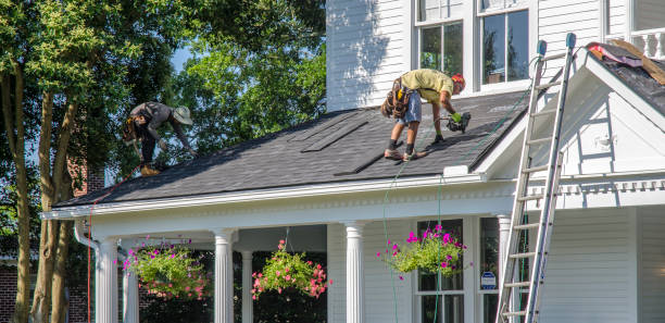 Sheet Metal Roofing in Long Creek, IL